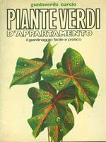 Piante verdi d'appartamento 7