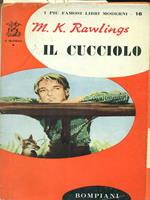 Il  cucciolo