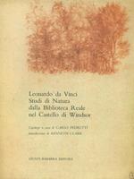 Leonardo da Vinci Studi di natura della biblioteca reale nel Castello di Windsor