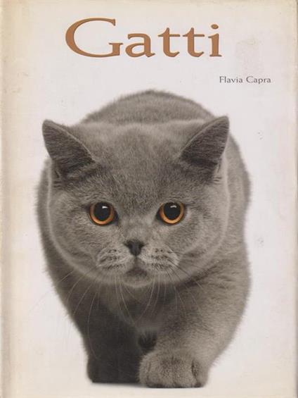 Gatti - Flavia Capra - copertina