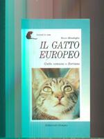 Il gatto europeo