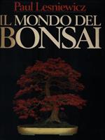 Il mondo del Bonsai
