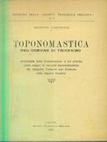 Toponomastica del comune di tricesimo