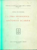 L' opera nevrologica di Antonio Scarpa