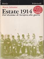 Estate 1914. Dal dramma di Sarajevo alla guerra