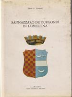   Sannazzaro de' Burgondi in Lomellina