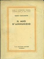 Il mio d'Annunzio