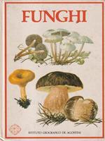   Funghi