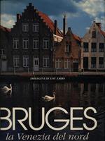   Bruges la Venezia del nord