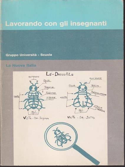   Lavorando con gli insegnanti - copertina