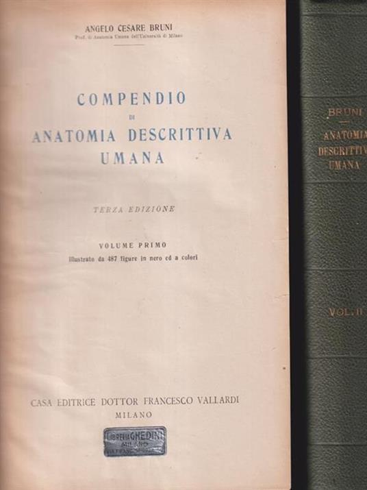   Anatomia descrittiva umana 2 voll. - Angelo Cesare Bruni - copertina