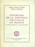   Panorama de la nouvelle critique en France