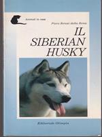 Il siberian Husky