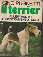 Il terrier