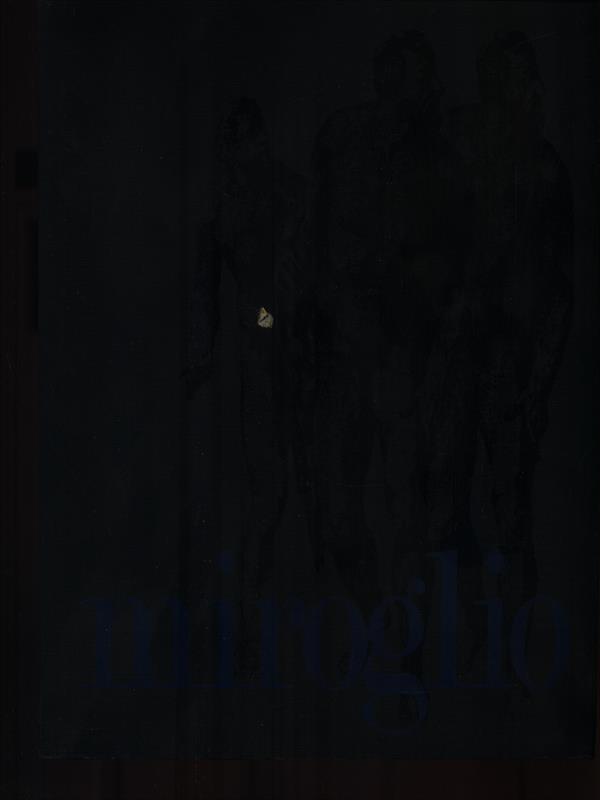 Valerio Miroglio. Monografia