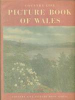 Picture book of Wales