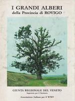 I grandi alberi della Provincia di Rovigo