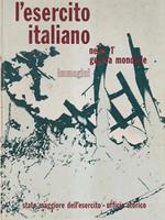 L' esercito italiano nella prima guerra mondiale