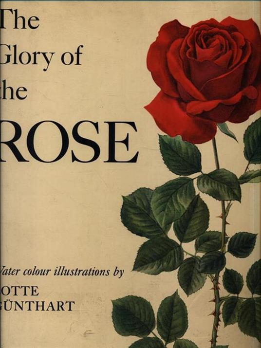 The Glory of the Rose - copertina