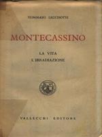 Montecassino. La vita l'irradiazione