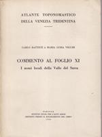 Atlante toponomastico della Venezia tridentina. Commento al foglio XI