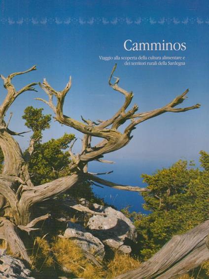 Camminos - Davide Beccu - copertina