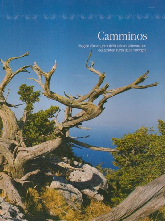 Camminos - Davide Beccu - copertina