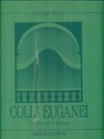   Colli euganei. Il canto ed il silenzio