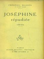 Joséphine répudiée (1809 - 1814)