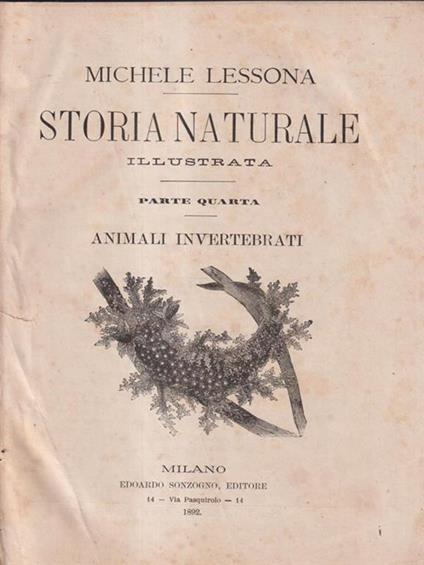   Storia naturale illustrata. Animali invertebrati - Michele Lessona - copertina