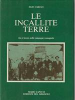 Le incallite terre