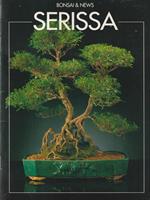   Serissa
