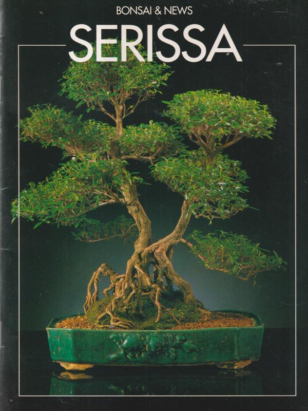   Serissa