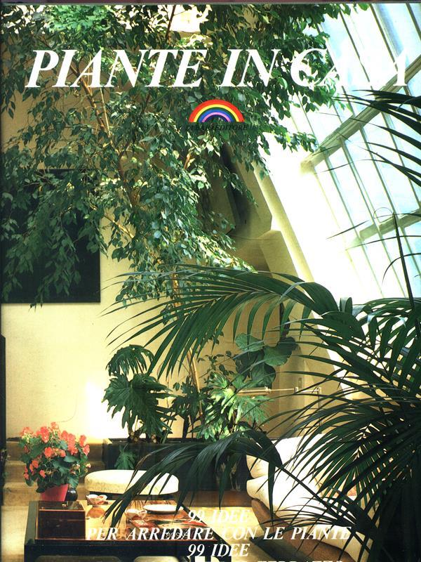piante in casa