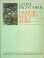 Saggi di letteratura russa