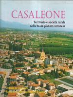 Casaleone