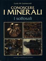 Conoscere i minerali: I solfosali