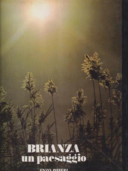 Brianza un paesaggio - Enzo Pifferi - copertina