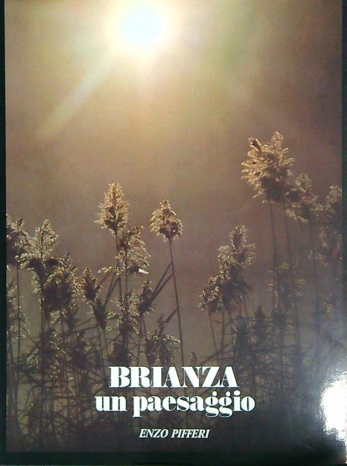 Brianza un paesaggio