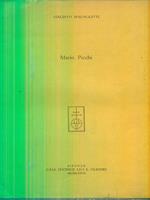 Mario Picchi. estratto