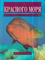 Le meraviglie del Mar Rosso (in lingua russa)