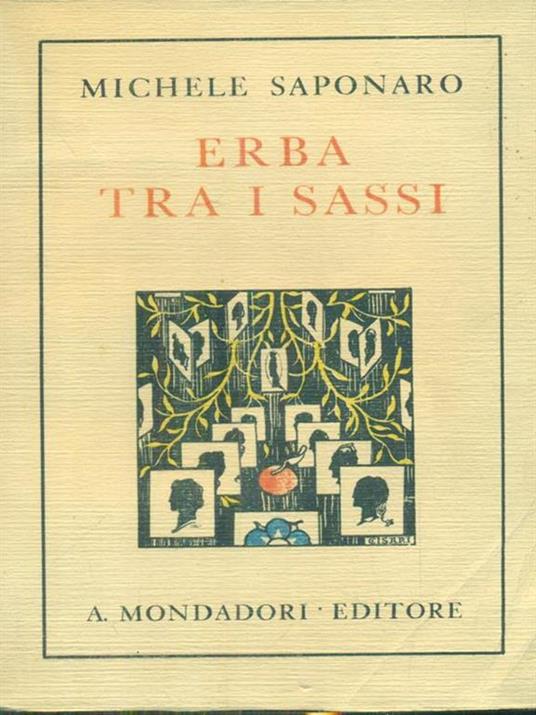   Erba tra i sassi - Michele Saponaro - copertina