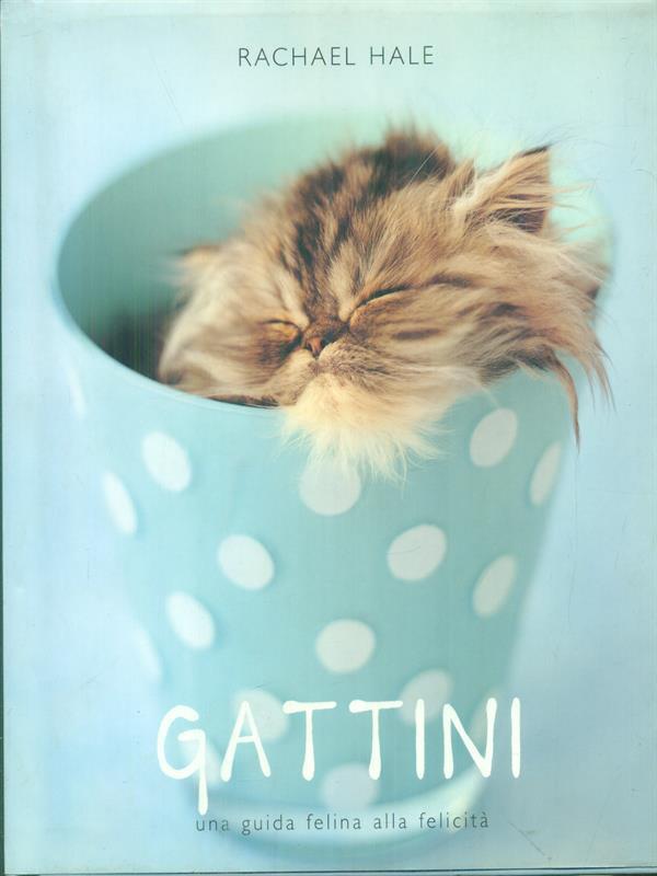 Gattini