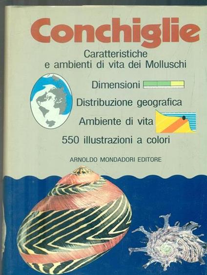 Conchiglie - Bruno Sabelli - copertina
