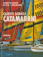 Questi sono i catamarani