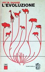 L' evoluzione