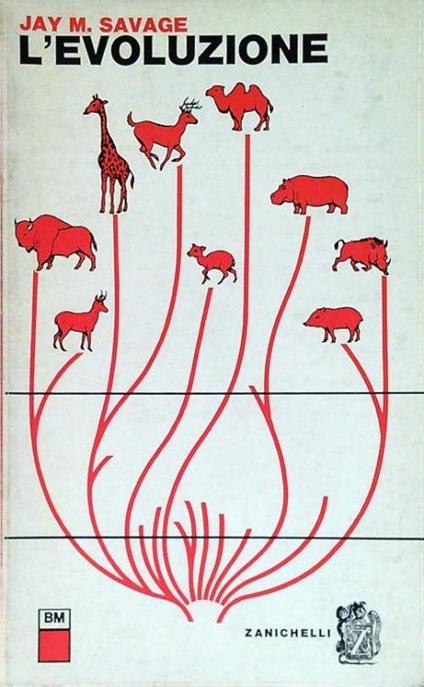 L' evoluzione - Jay M. Savage - copertina