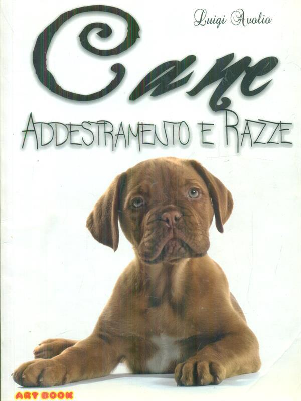 Cane addestramento e conoscenza