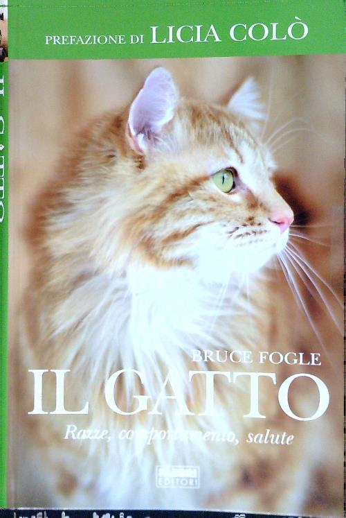 Il Gatto