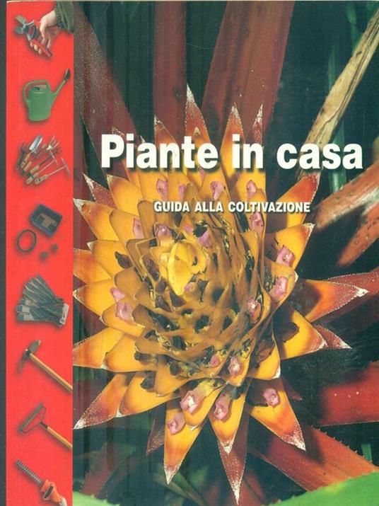 Piante in casa - copertina